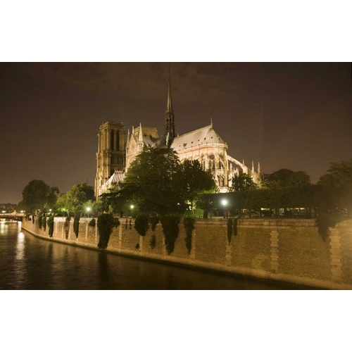 France, Paris Notre Dame Cathedral lit at night